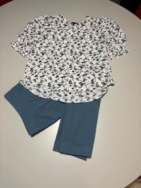 Ann Taylor curvy ankle pants and top.